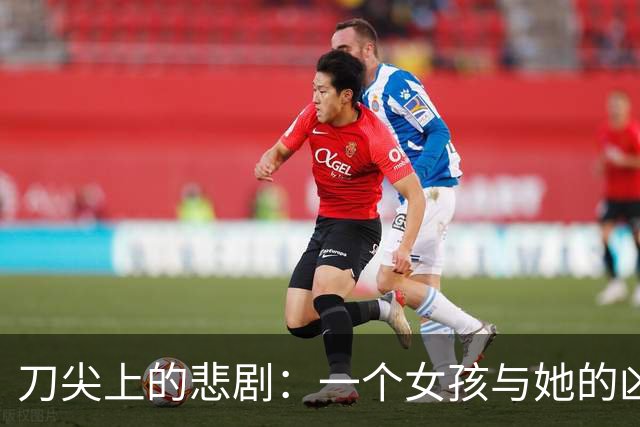 刀尖上的悲剧：一个女孩与她的凶手之间的故事
