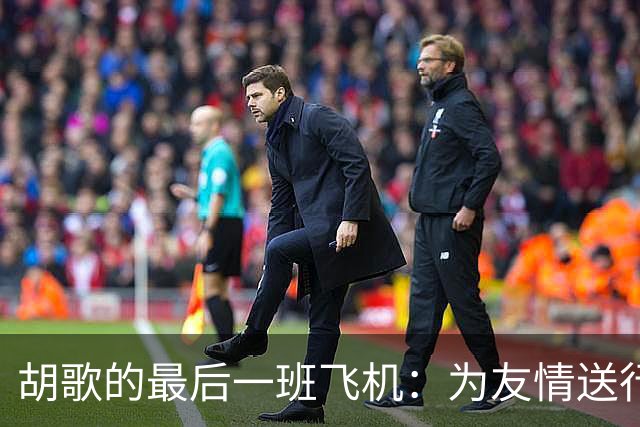 胡歌的最后一班飞机：为友情送行，空出一个时代